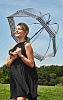 Fulton dámský průhledný deštník Birdcage 2 HOUNDSTOOTH BORDER L042