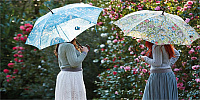 William Morris dámský holový deštník Kensington2 STRAWBERRY THIEF L788