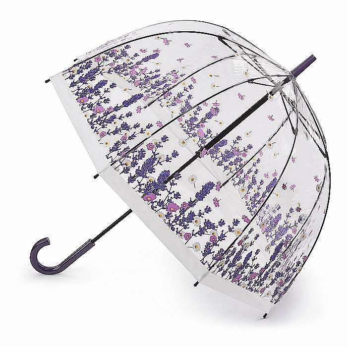 Fulton dámský průhledný deštník Birdcage 2 Flower Field L042
