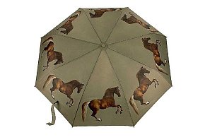Fulton skládací deštník NATIONAL GALLERY Minilite 2 WHISTLEJACKET L849