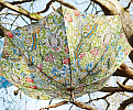 William Morris dámský holový deštník Kensington 2 Golden Lily L788