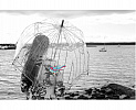 II. JAKOST Fulton dámský holový deštník Lulu Guinness BIRDCAGE 2 L719